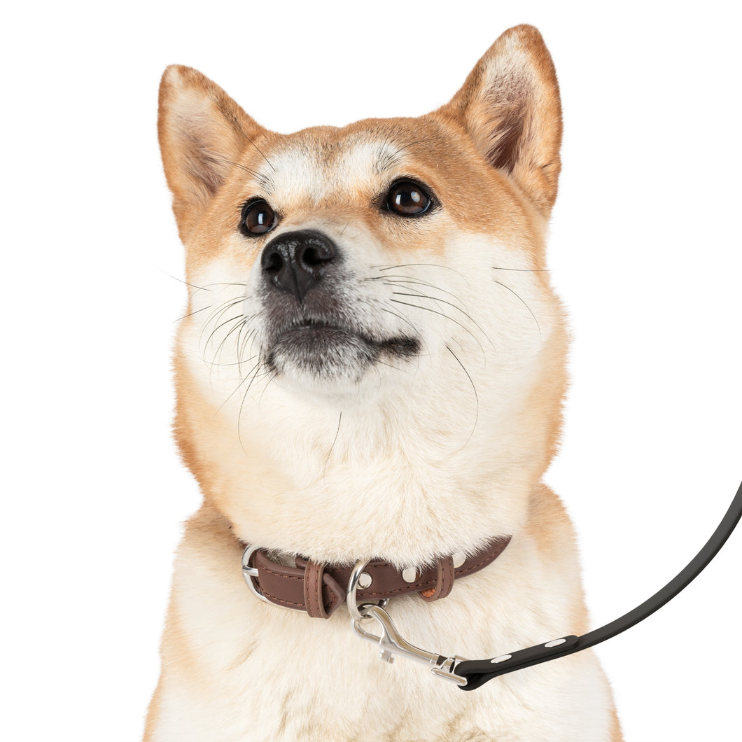 Leash (Dog) - 